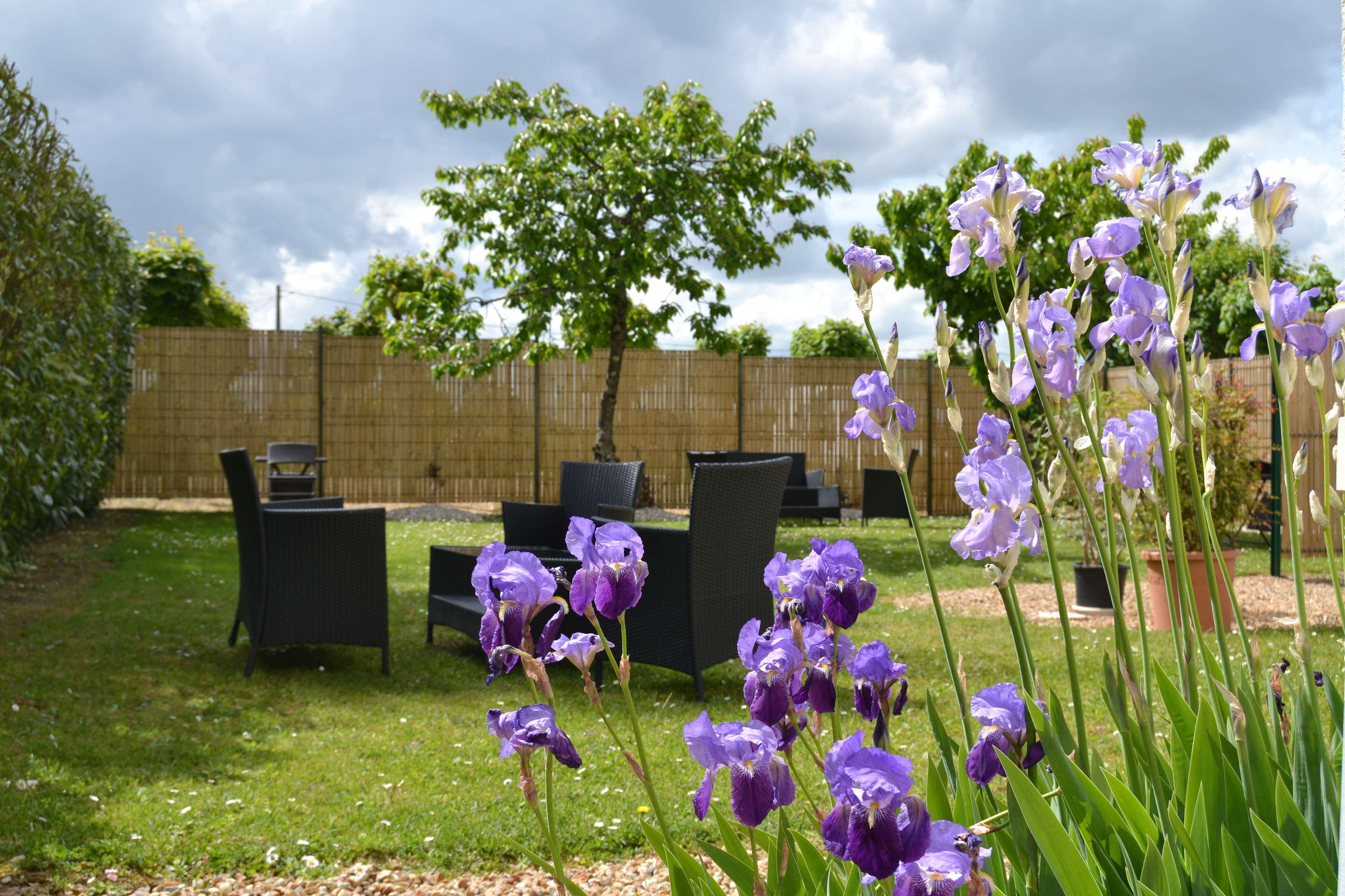 Best Western Le Vinci Loire Valley Amboise Eksteriør bilde